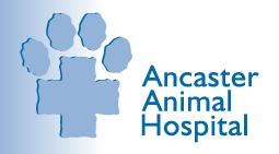 Ancaster Animal Hospital
